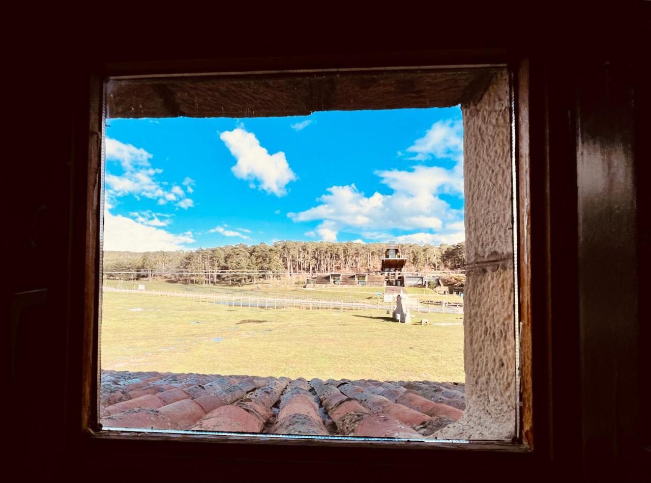 Albergue Pinares - La Casona De Revenga Regumiel de la Sierra エクステリア 写真